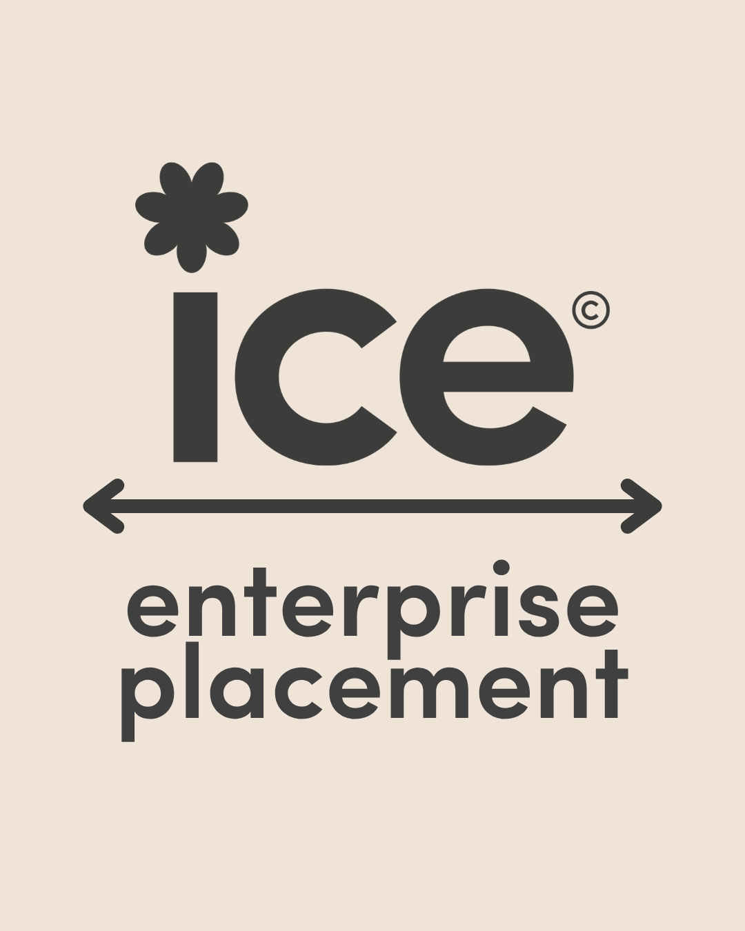 Image showing the ICE Enterprise Placement logo