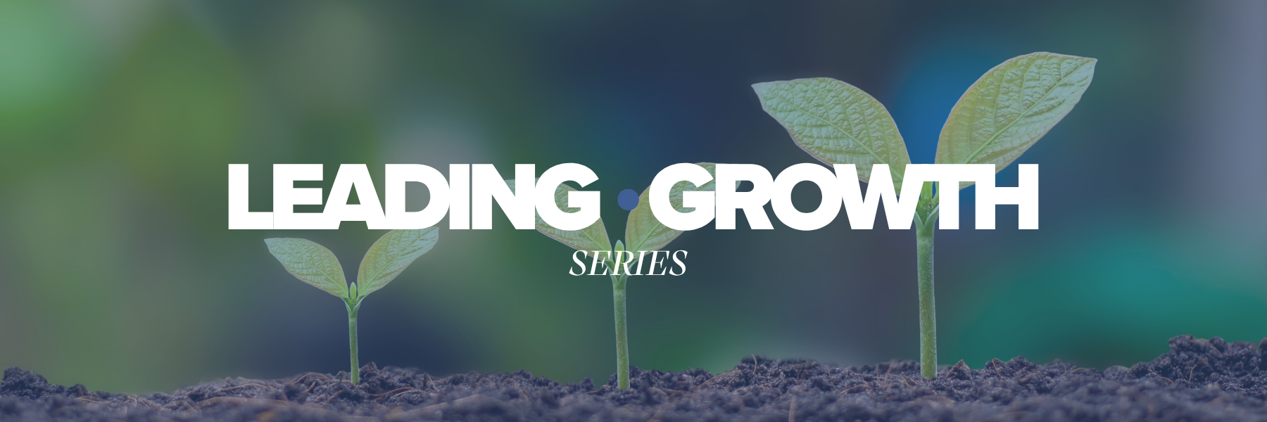 Three saplings at various stages of growth representing the Leading Growth Series