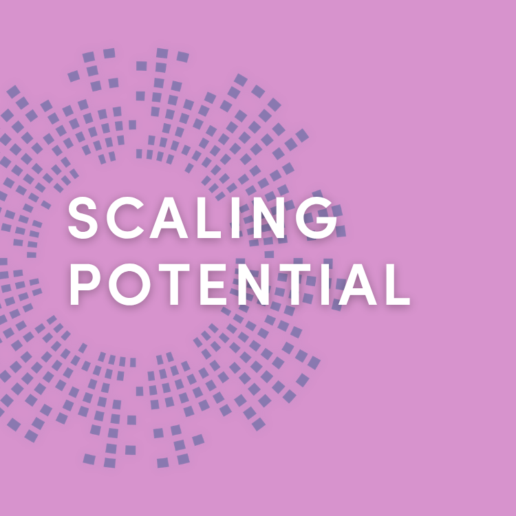 An image that mentions Scaling potential which highlights Business growth support in Wales that Welsh ICE provides